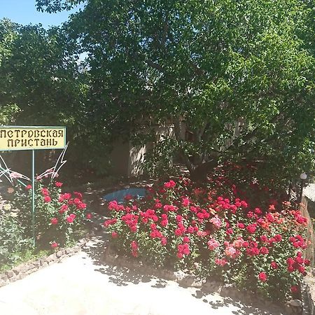 فندق Petrovskaya Pristan شولبون آتا المظهر الخارجي الصورة