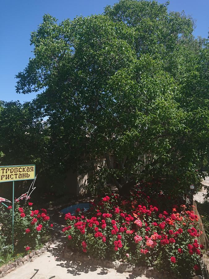 فندق Petrovskaya Pristan شولبون آتا المظهر الخارجي الصورة