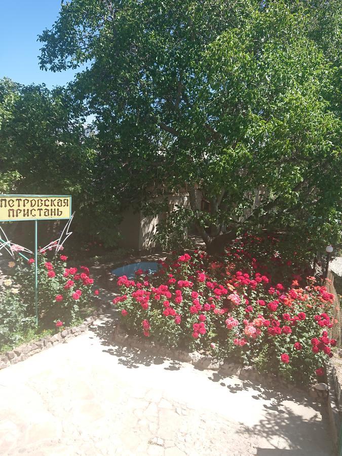 فندق Petrovskaya Pristan شولبون آتا المظهر الخارجي الصورة